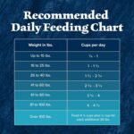 Blue Buffalo Wilderness with Chicken High Protein Dry Dog Food for Adult Dogs, 34% Protein, Supports Immunity with Antioxidant-Rich LifeSource Bits, 28 lbs. - Image 11