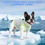 KOOLTAIL Dog Cooling Vest, Sun Protection Easy on off Cooling Pet Shirt Harness with Zipper & Leash Ring, Breathable Summer Quick Dry Clothes, Relief in Hot Weather for Small Medium Large Dogs, Grey M - Image 3