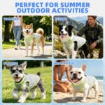KOOLTAIL Dog Cooling Vest, Sun Protection Easy on off Cooling Pet Shirt Harness with Zipper & Leash Ring, Breathable Summer Quick Dry Clothes, Relief in Hot Weather for Small Medium Large Dogs, Grey M - Image 4