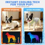 KOOLTAIL Dog Cooling Vest, Sun Protection Easy on off Cooling Pet Shirt Harness with Zipper & Leash Ring, Breathable Summer Quick Dry Clothes, Relief in Hot Weather for Small Medium Large Dogs, Grey M - Image 6