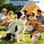 KOOLTAIL Dog Cooling Vest, Sun Protection Easy on off Cooling Pet Shirt Harness with Zipper & Leash Ring, Breathable Summer Quick Dry Clothes, Relief in Hot Weather for Small Medium Large Dogs, Grey M - Image 7