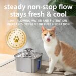 Veken Innovation Award Winner Stainless Steel Cat Water Fountain, 108oz/3.2L Automatic Pet Fountain Dog Water Dispenser with 6 Replacement Filters & Silicone Mat for Cats, Dogs, Multiple Pets (Silver) - Image 7