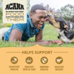 ACANA Wholesome Grains Dry Dog Food Free-Run Poultry & Grains Recipe with Cage-Free Eggs 4lb Bag - Image 4
