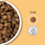 ACANA Wholesome Grains Dry Dog Food Free-Run Poultry & Grains Recipe with Cage-Free Eggs 4lb Bag - Image 5