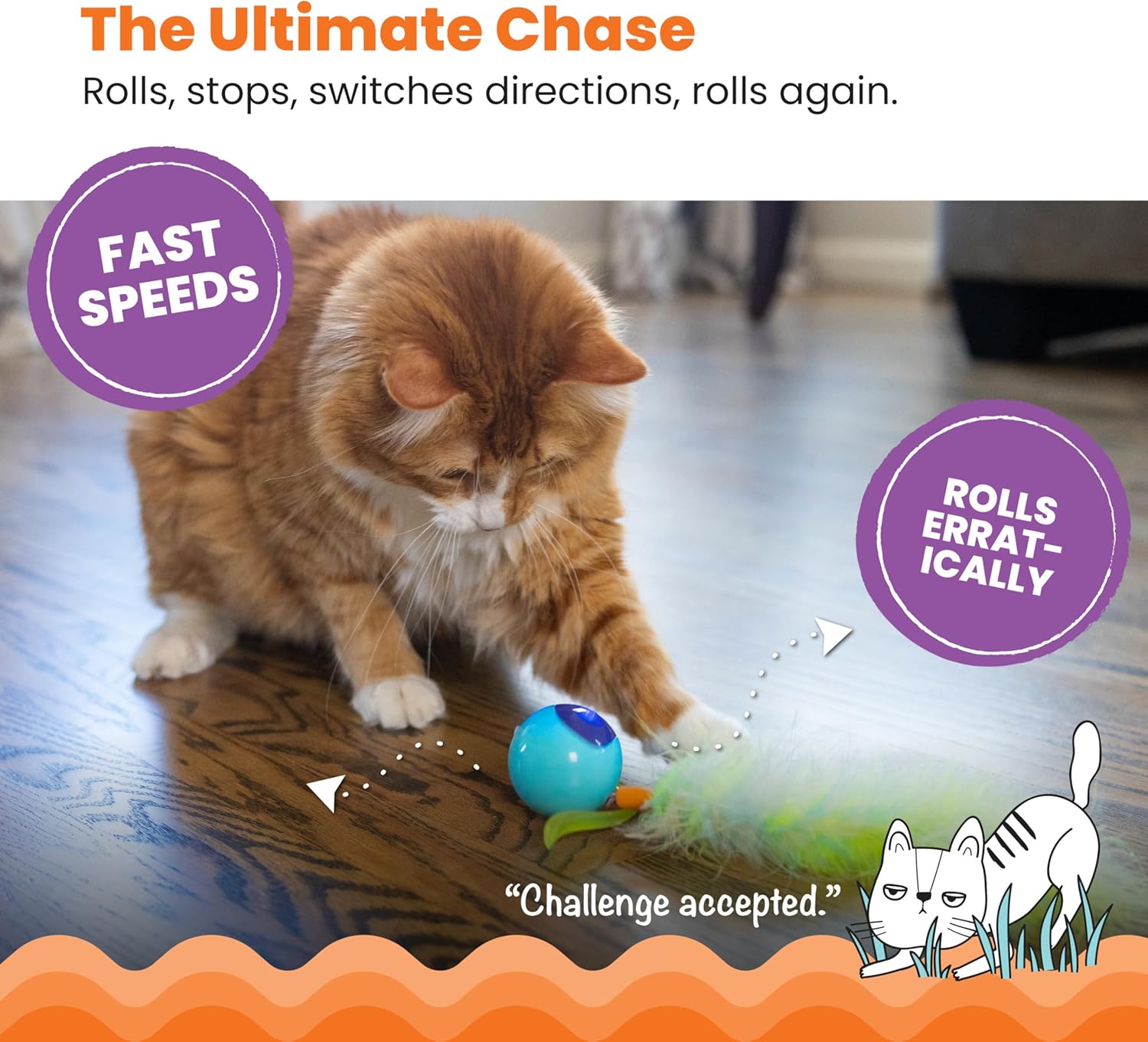 Catstages Roll & Chase Robot Toy –Interactive Electronic Cat Toy for Indoor with Feather Teaser Tail, Lights, USB Rechargeable, Automatic Moving Action for Active Play, Mental Stimulation & Enrichment - Image 3