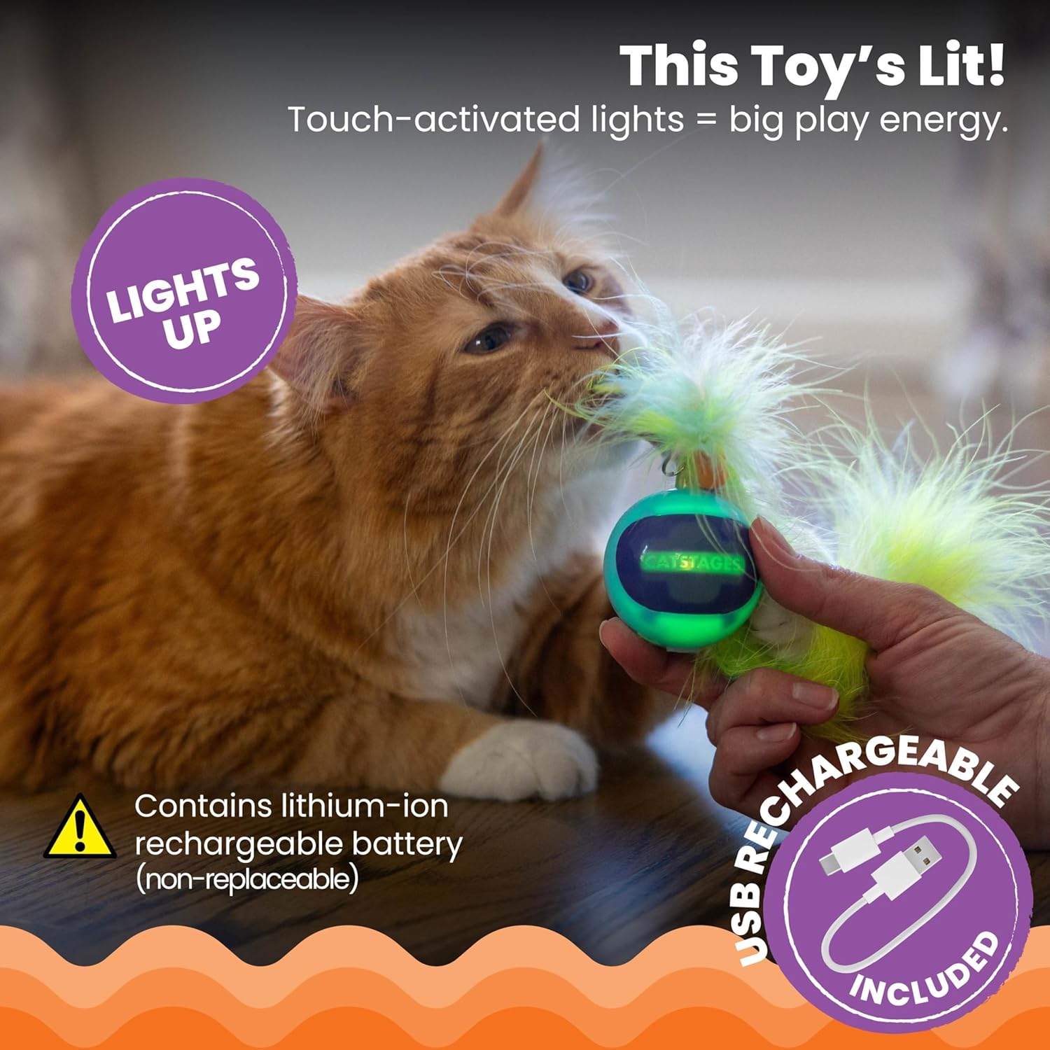 Catstages Roll & Chase Robot Toy –Interactive Electronic Cat Toy for Indoor with Feather Teaser Tail, Lights, USB Rechargeable, Automatic Moving Action for Active Play, Mental Stimulation & Enrichment - Image 4