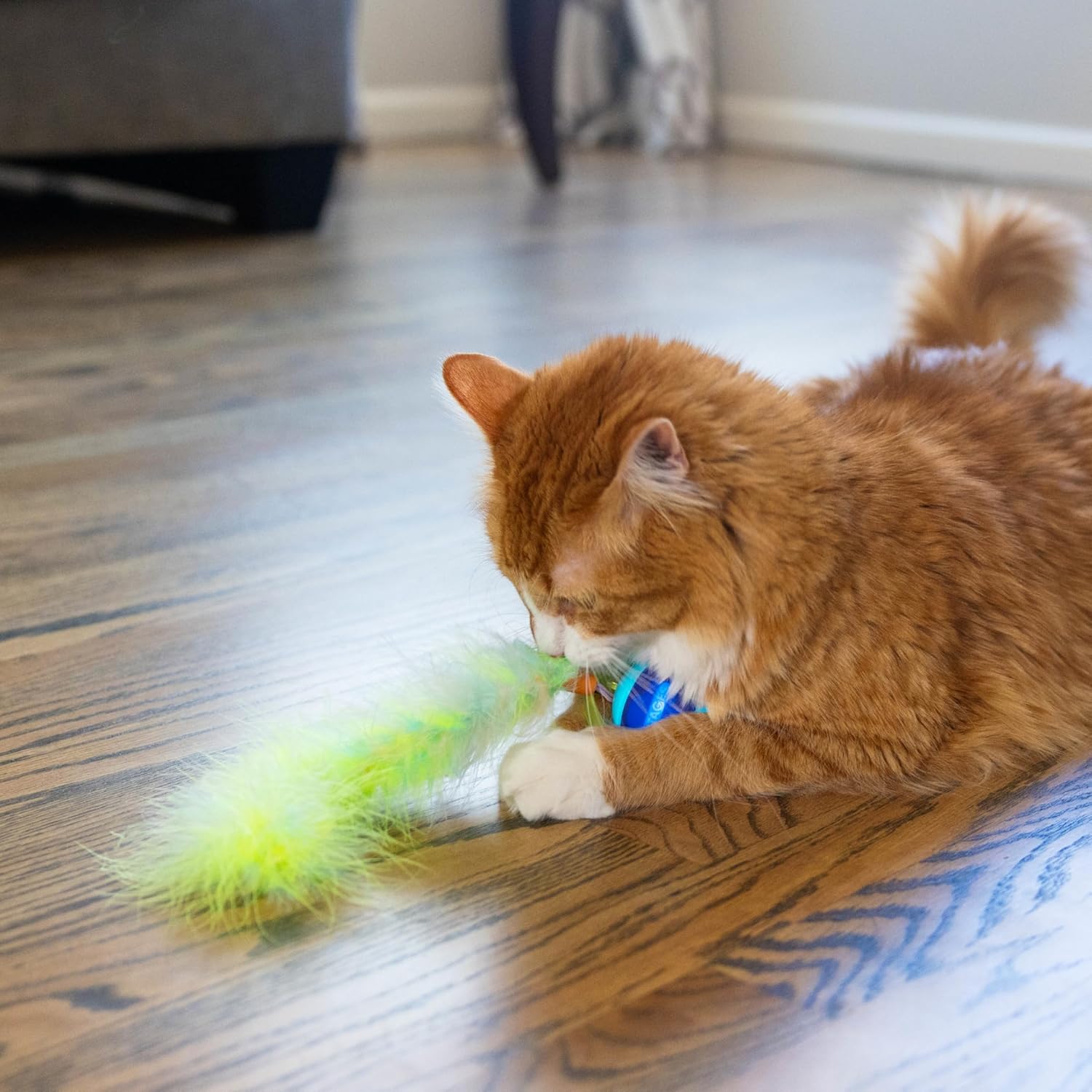 Catstages Roll & Chase Robot Toy –Interactive Electronic Cat Toy for Indoor with Feather Teaser Tail, Lights, USB Rechargeable, Automatic Moving Action for Active Play, Mental Stimulation & Enrichment - Image 7