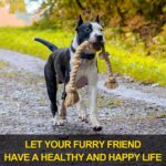 Fida Dog Rope Toys for Large/Medium Aggressive Chewers, Tough Cotton Chew Toy, 3 Feet 5 Knots Indestructible, Tug of War Dog Pull Rope Teeth Cleaning - Image 5