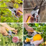 Premium Germany Pruning Shears, Work 3 Times Easier, Pruners Heady Duty, Sharp Garden Clippers Cut Fresh Flower, Hedge, Herb, Indoor Plants, Gardening Tools Scissors, Arthritis Weak Hand Snips - Image 8
