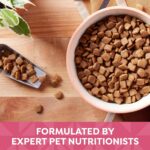Nature's Recipe Grain Free Dry Dog Food, Salmon, Sweet Potato & Pumpkin Recipe, 34 lb. Bag - Image 6