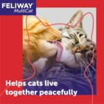 FELIWAY MultiCat Cat Calming Diffuser Kit and 1 Pack Refill – Helps Reduce Fighting, Tension and Aggression Between Cats Due to Stress – 30‑Day Cat Pheromone Plug in Diffuser for Multi‑Cat Homes - Image 3