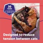 FELIWAY MultiCat Cat Calming Diffuser Kit and 1 Pack Refill – Helps Reduce Fighting, Tension and Aggression Between Cats Due to Stress – 30‑Day Cat Pheromone Plug in Diffuser for Multi‑Cat Homes - Image 5