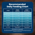 Blue Buffalo Life Protection Formula Chicken & Brown Rice Small Breed Adult Dry Dog Food, Supports Immunity with Antioxidant-Rich LifeSource Bits, Promotes Healthy Muscles, Skin & Coat Health, 15 lbs. - Image 9