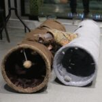 Cat Tunnel for Indoor Cats, 51×12 inch Foldable Big Cat Tunnel, Grey Suede Pet Tunnels with Two Peepholes and a Bubble Ball - Image 7