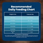 Blue Buffalo Life Protection Formula Chicken & Brown Rice Senior Dry Dog Food, Supports Immunity with Antioxidant-Rich LifeSource Bits, Promotes Healthy Muscle Development, Skin & Coat Health, 5 lbs. - Image 10