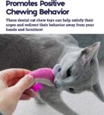Catstages Petstages Dental Shrimpies Catnip Cat Chew Toy - 2 Pack - Image 5