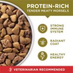 Purina ONE Dry Dog Food Lamb and Rice Formula - 31.1 lb. Bag - Image 9