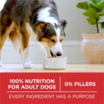 Purina ONE Dry Dog Food Lamb and Rice Formula - 31.1 lb. Bag - Image 10