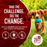 Purina ONE Dry Dog Food Lamb and Rice Formula - 31.1 lb. Bag - Image 12