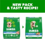 IAMS Proactive Health Large Breed Dry Dog Food, Adult Dry Dog Food for Large Breeds, Chicken, 30 lb. Bag - Image 3