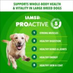 IAMS Proactive Health Large Breed Dry Dog Food, Adult Dry Dog Food for Large Breeds, Chicken, 30 lb. Bag - Image 4