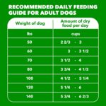 IAMS Proactive Health Large Breed Dry Dog Food, Adult Dry Dog Food for Large Breeds, Chicken, 30 lb. Bag - Image 11