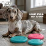 WEST PAW Zogoflex Zisc Dog Flying Disc, High Flying Aerodynamic Disc for Dogs Puppy – Lightweight, Floatable Disc for Fetch, Tug of War, Catch, Play – Doubles as Food/Water Bowl, Small 6.5", Teal - Image 6
