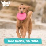 WEST PAW Zogoflex Zisc Dog Flying Disc, High Flying Aerodynamic Disc for Dogs Puppy – Lightweight, Floatable Disc for Fetch, Tug of War, Catch, Play – Doubles as Food/Water Bowl, Small 6.5", Teal - Image 9
