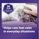 FELIWAY Optimum Cat Calming Diffuser Kit and 6 Pack Refill – Advanced Support to Help Reduce Urine Spraying, Scratching, Fighting and Hiding Due to Stress – All in One Cat Pheromone Plug in Diffuser - Image 4