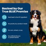 Blue Buffalo Life Protection Formula Beef & Brown Rice Adult Dry Dog Food, Supports Immunity with Antioxidant-Rich LifeSource Bits, Promotes Healthy Muscle Development, Skin & Coat Health, 15 lbs. - Image 7