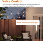Amazon Basics Outdoor Smart Plug with 2 Individually Controlled Outlets, Works with Alexa Only, Voice Control, Weather Resistant, 2.4 GHz Wi-Fi, No Hub Required, Black - Image 5