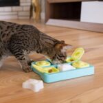 Catstages Kitty Cube Interactive Treat Puzzle Cat Toy, Blue - Image 8