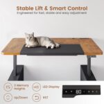 SEDETA 63" Executive Standing Desk with Storage, Executive Height Adjustable Desk with Power Outlets, Large Computer Office Desk with Privacy Panel for Home Office, Brown+Black - Image 5