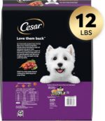 Cesar Small Breed Dry Dog Food for Small Dogs, Filet Mignon Flavor and Spring Vegetables Garnish, 12 lb Bag - Image 3
