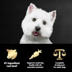 Cesar Small Breed Dry Dog Food for Small Dogs, Filet Mignon Flavor and Spring Vegetables Garnish, 12 lb Bag - Image 7