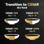 Cesar Small Breed Dry Dog Food for Small Dogs, Filet Mignon Flavor and Spring Vegetables Garnish, 12 lb Bag - Image 9