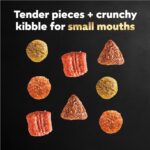 Cesar Small Breed Dry Dog Food for Small Dogs, Filet Mignon Flavor and Spring Vegetables Garnish, 12 lb Bag - Image 10