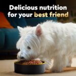 Cesar Small Breed Dry Dog Food for Small Dogs, Filet Mignon Flavor and Spring Vegetables Garnish, 12 lb Bag - Image 11