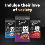 Cesar Small Breed Dry Dog Food for Small Dogs, Filet Mignon Flavor and Spring Vegetables Garnish, 12 lb Bag - Image 13
