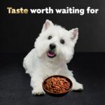 Cesar Small Breed Dry Dog Food for Small Dogs, Filet Mignon Flavor and Spring Vegetables Garnish, 12 lb Bag - Image 14