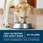 Purina One +Plus Dry Dog Food for Large Adult Dogs High Protein, Real Chicken - 31.1 lb Bag - Image 9