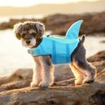 EMUST Shark Dog Life Jackets for Water Safety - Adjustable Ripstop Pet Life Vest with Rescue Handle for Swimming Pool, Beach, Boating (L, Pool Blue) - Image 7