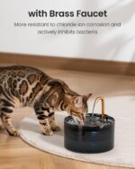 Cat Water Fountain, 71oz/2.1L Cat Fountain for Drinking with Copper Faucet, MISFANS-Designed Pump & Filter, Plastic Automatic Pet Water Fountain Bowl & Dispenser with 3-Pack Replaceable Filters - Image 3