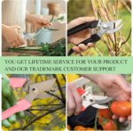 Premium garden shears, meperez pruning scissors gardening tools, pruners for flower, bushes, rose and fruit tree, use for florist, yard and orchard the plant clippers, sharp steel anvil snips - Image 6
