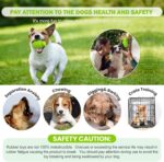 PIFFZEDO Dog Toys for Aggressive Chewers,Interactive Natural Rubber Chew & Squeaky Toy for Large Medium Breed,Dog Toothbrush,Tough & Durable (Green,Large) - Image 6