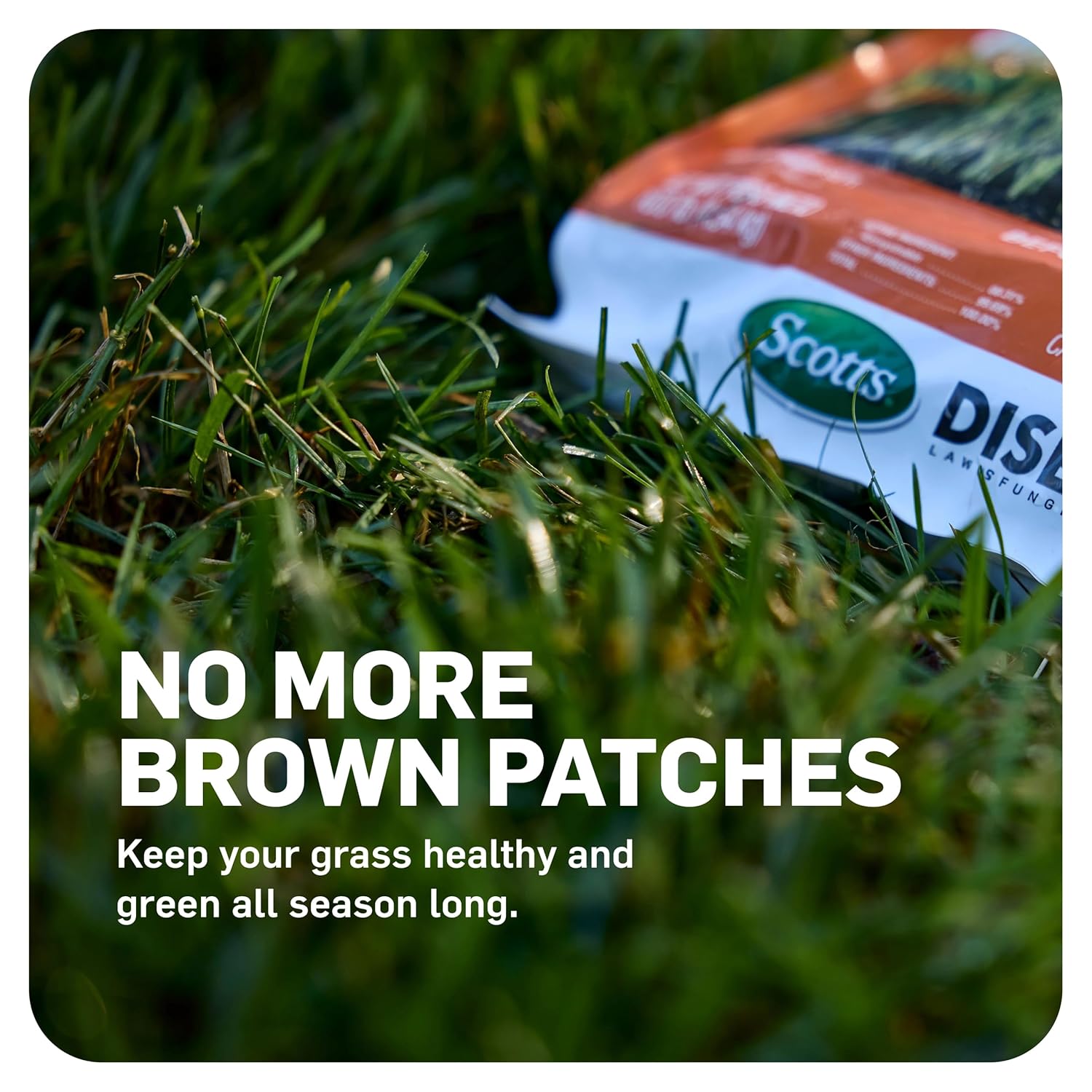 Scotts DiseaseEx Lawn Fungicide for Lawn Care - Controls and Prevents Brown Patch, Pythium Blight and More as Listed, Treats Up to 5,000 sq. ft., 10 lbs. - Image 4