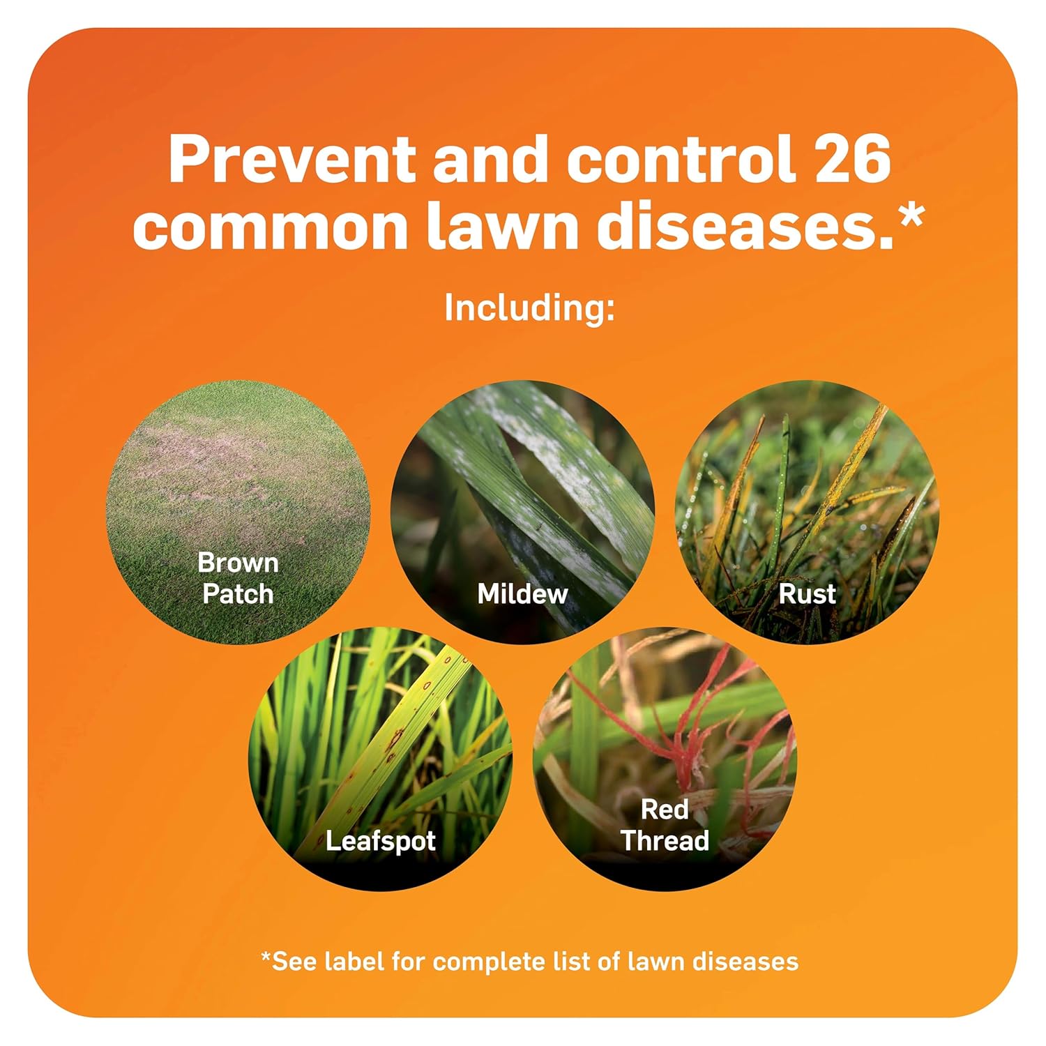 Scotts DiseaseEx Lawn Fungicide for Lawn Care - Controls and Prevents Brown Patch, Pythium Blight and More as Listed, Treats Up to 5,000 sq. ft., 10 lbs. - Image 5
