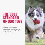 KONG Classic Stuffable Dog Toy - Fetch & Chew Toy for Dogs - Treat-Filling Capabilities & Erratic Bounce for Extended Play Time - Durable Natural Rubber Material - for Small Dogs - Image 5