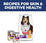 Hill's Science Diet Adult Sensitive Stomach & Skin Dry Dog Food, Chicken, 4 lb. Bag - Image 11