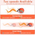 BABORUI Interactive Cat Toy Ball - Automatic Interactive Cat Toys for Indoor Cats with 3 Tails, 2 Speeds Rechargeable Enrichment Toys for Small/Medium/Large to Keep Them Busy (Orange) - Image 5